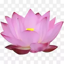 尼法亚nelumbopng图片桌面壁纸夹艺术图像-空若网 尼法亚nelumbopng图片桌面壁纸夹艺术图像-空若网