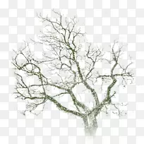 音乐影像歌词桌面壁纸博客-空若网 音乐影像歌词桌面壁纸博客-空若网