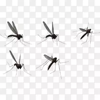 �ó�pngͼƬ������ͼ�ε���ͼ�����Ӽ�����png�ó����-������