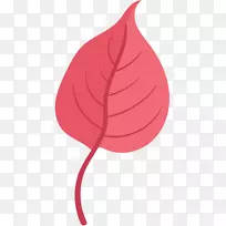 ����������ֲ��Ҷֲ���.m-������