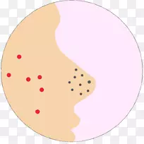 �������ۺ����-������