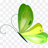 蝴蝶图像剪辑艺术插图png图片蝴蝶动画PNG绿色-空若网 蝴蝶图像剪辑艺术插图png图片蝴蝶动画PNG绿色-空若网