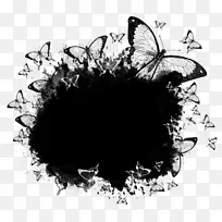 剪贴画png图片图片绘制博客.混沌图形-空若网 剪贴画png图片图片绘制博客.混沌图形-空若网