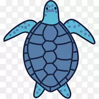 海龟艺术家艺术馆-空若网 海龟艺术家艺术馆-空若网