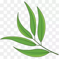 叶植物茎草花-空若网 叶植物茎草花-空若网