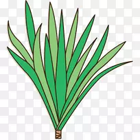 ��ֽ����ֲ�ﾥϵ��-������