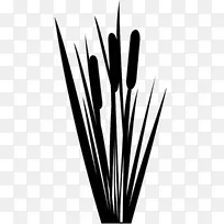 黑白线字体草-空若网 黑白线字体草-空若网