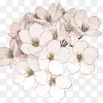 pngͼƬ͸���������������ֽ-��λ��ƻ�PNGͼ��-������