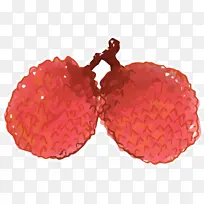 荔枝 水果 水彩画-空若网 荔枝 水果 水彩画-空若网