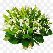 ���� �����Ͷ��� ����-������