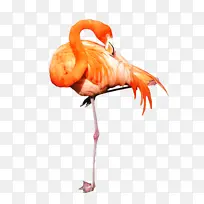 »ðÁÒÄñ Ë®²Ê» µÆ¿ª¹Ø-¿ÕÈôÍø »ðÁÒÄñ Ë®²Ê» µÆ¿ª¹Ø-¿ÕÈôÍø