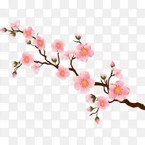 布鲁克公园 樱花 花朵-空若网 布鲁克公园 樱花 花朵-空若网