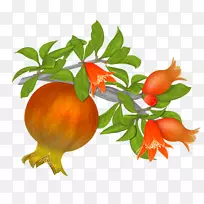 石榴果石榴-空若网 石榴果石榴-空若网