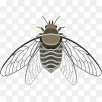 ���� �۷� ����-������