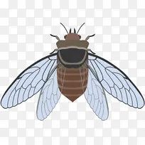 �۷� ���� ������-������