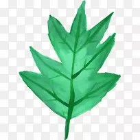 ·ãÒ¶Ë®²Ê»-25-¿ÕÈôÍø ·ãÒ¶Ë®²Ê»-25-¿ÕÈôÍø