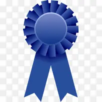 缎带 奖品或装饰 奖品-空若网 缎带 奖品或装饰 奖品-空若网