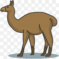 �������� �� ���㶯��-������