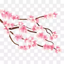 枝樱花剪贴画-樱花-空若网 枝樱花剪贴画-樱花-空若网