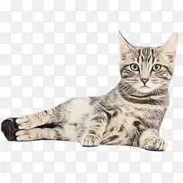 Сè ���� �����-������