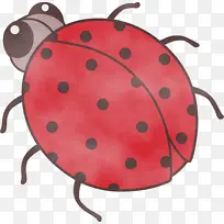 女士鸟 昆虫 硬币钱包-空若网 女士鸟 昆虫 硬币钱包-空若网