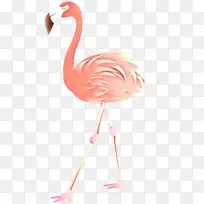 火烈鸟 水彩画 电视-空若网 火烈鸟 水彩画 电视-空若网