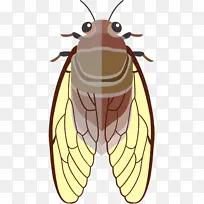 蜜蜂 昆虫 卡通-空若网 蜜蜂 昆虫 卡通-空若网