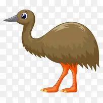 澳大利亚 澳大利亚动物群 鸭嘴兽-空若网 澳大利亚 澳大利亚动物群 鸭嘴兽-空若网