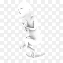 采购产品耳环 手指 身体珠宝-空若网 采购产品耳环 手指 身体珠宝-空若网