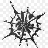 叶 对称 绘画-空若网 叶 对称 绘画-空若网