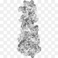 花卉设计 瑜伽 艾扬格瑜伽-空若网 花卉设计 瑜伽 艾扬格瑜伽-空若网