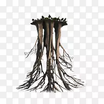 ����Ư��-������