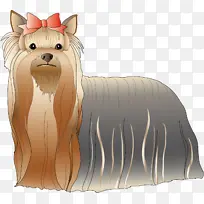 约克郡梗 凯恩梗 玩具狗-空若网 约克郡梗 凯恩梗 玩具狗-空若网