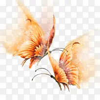 蝴蝶 昆虫 纸-空若网 蝴蝶 昆虫 纸-空若网