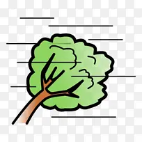 树 叶子 森林-空若网 树 叶子 森林-空若网