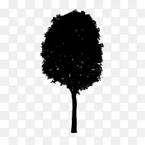 ˮ�ʻ� ��ľ ����-������