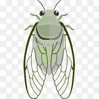 À¥³æ ÃÛ·ä ´ó»Æ·ä-¿ÕÈôÍø À¥³æ ÃÛ·ä ´ó»Æ·ä-¿ÕÈôÍø