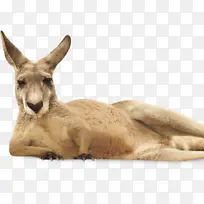 ��β ���Ѿ� ����-������