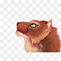 胡须 猫 鼻子-空若网 胡须 猫 鼻子-空若网