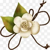 切花 父亲节 博客-空若网 切花 父亲节 博客-空若网