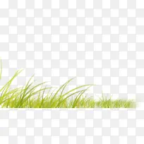 草 阳光 计算机-空若网 草 阳光 计算机-空若网