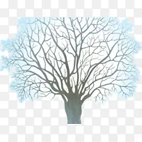 �� ����-������