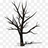 ��֦ ��ľ ֲ��-������