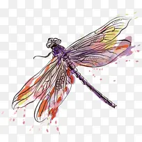 ÎÆÉí ÁÙÊ±ÎÆÉí Ë®²Ê»-¿ÕÈôÍø ÎÆÉí ÁÙÊ±ÎÆÉí Ë®²Ê»-¿ÕÈôÍø