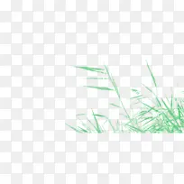 �� �� ��Ʒ-������