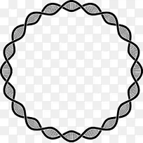 衬衫 贴纸 姓名-空若网 衬衫 贴纸 姓名-空若网