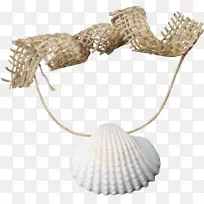 博客 海滩 软体动物壳-空若网 博客 海滩 软体动物壳-空若网