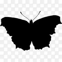 ���� ���� ��Ӱ-������