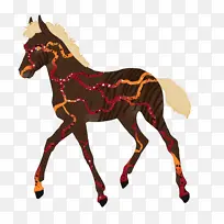 美国画马 家畜马 安达卢西亚马-空若网 美国画马 家畜马 安达卢西亚马-空若网