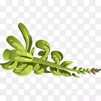 ������-��ҩ-������